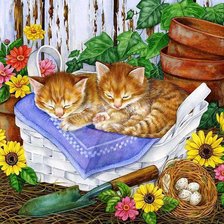 Схема вышивки «gattini»