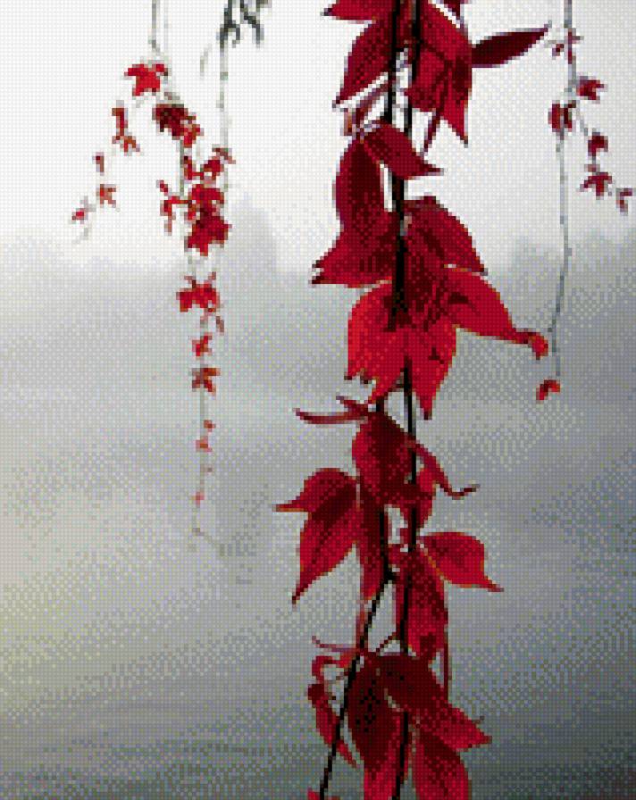 краски осени - предпросмотр