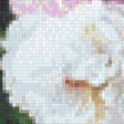 Предпросмотр схемы вышивки «Цветы» (№1061666)
