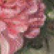 Предпросмотр схемы вышивки «Цветы» (№1061693)