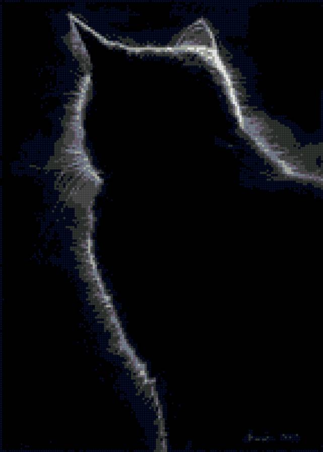 Кот - предпросмотр