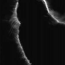 Схема вышивки «Кот»