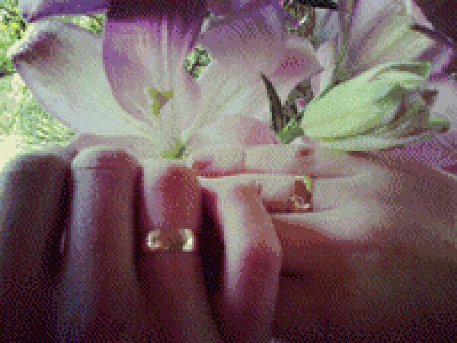 Свадьба) - предпросмотр