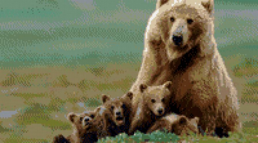 МЕДВЕЖЬЕ СЕМЕЙСТВО - медведи, животные - предпросмотр