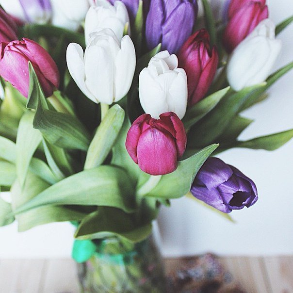 тюльпаны - оригинал