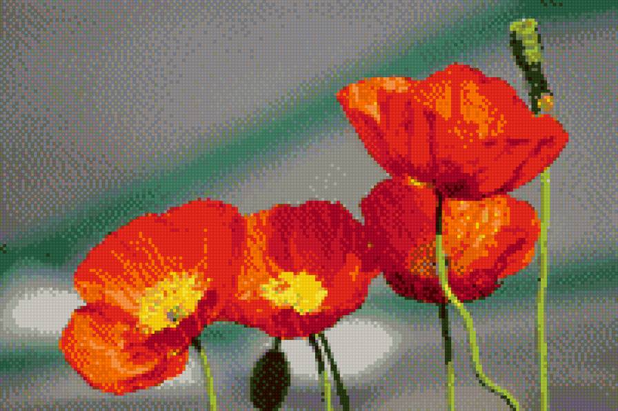 Маки - маки, природа, цветы - предпросмотр