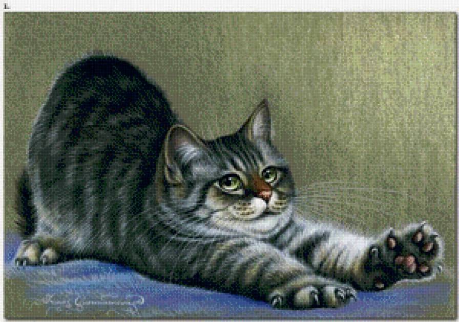 кот - предпросмотр