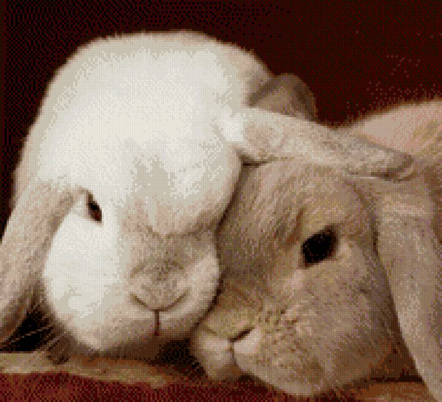 зайки - предпросмотр