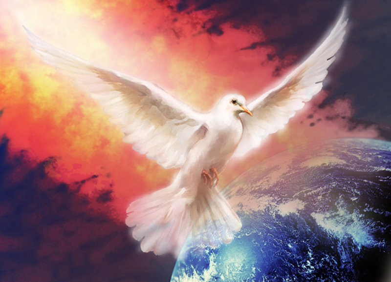 голубь - мир, вселенная, голубь - оригинал