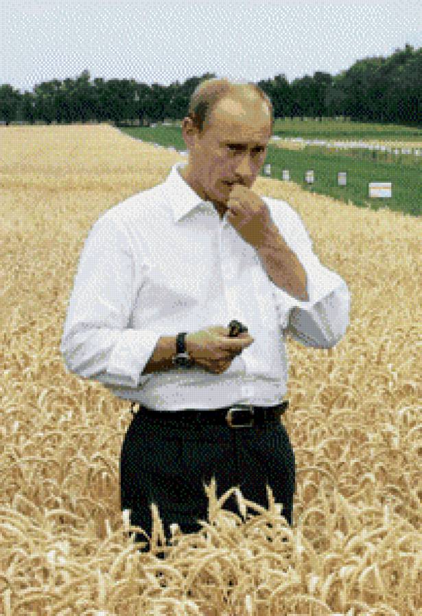 президент - путин, человек - предпросмотр