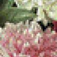 Предпросмотр схемы вышивки «Цветы» (№1063688)