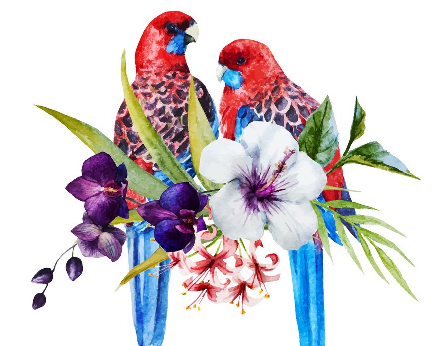 Попугаи - цветы, попугаи - оригинал