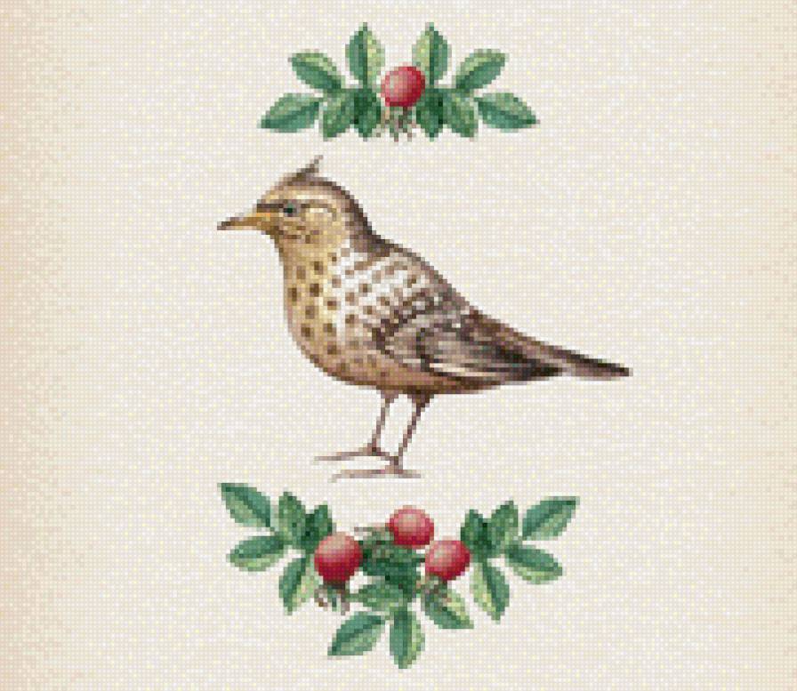 Птица - акварель, птица, ягоды, орнамент - предпросмотр