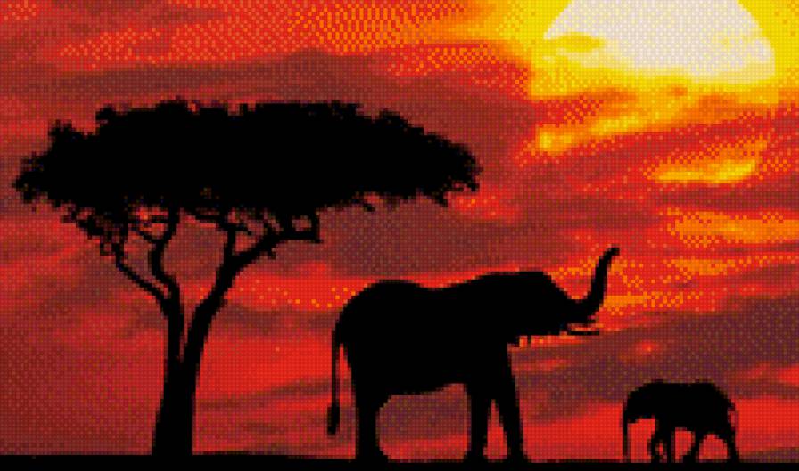 слоны - предпросмотр