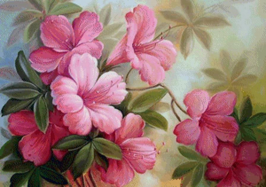 Гибискус - цветок, цветы, роза, букет - предпросмотр