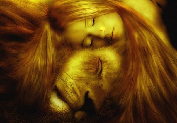 Девушка и лев - девушка, лев, животные - оригинал