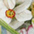 Предпросмотр схемы вышивки «fiori misti primavera» (№1064702)