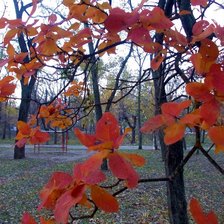 Схема вышивки «Тихая осень»