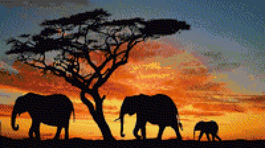 слоны - предпросмотр