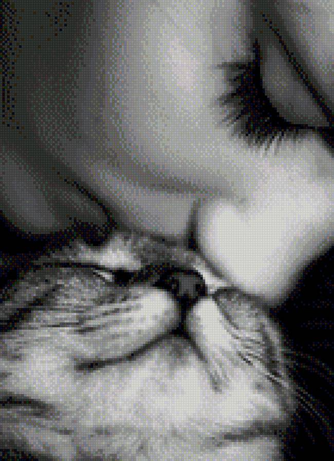 Любовь к кошке - предпросмотр