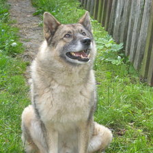 Схема вышивки «Дружок Джек»