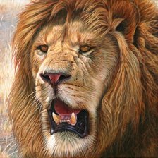 Схема вышивки «Лев»