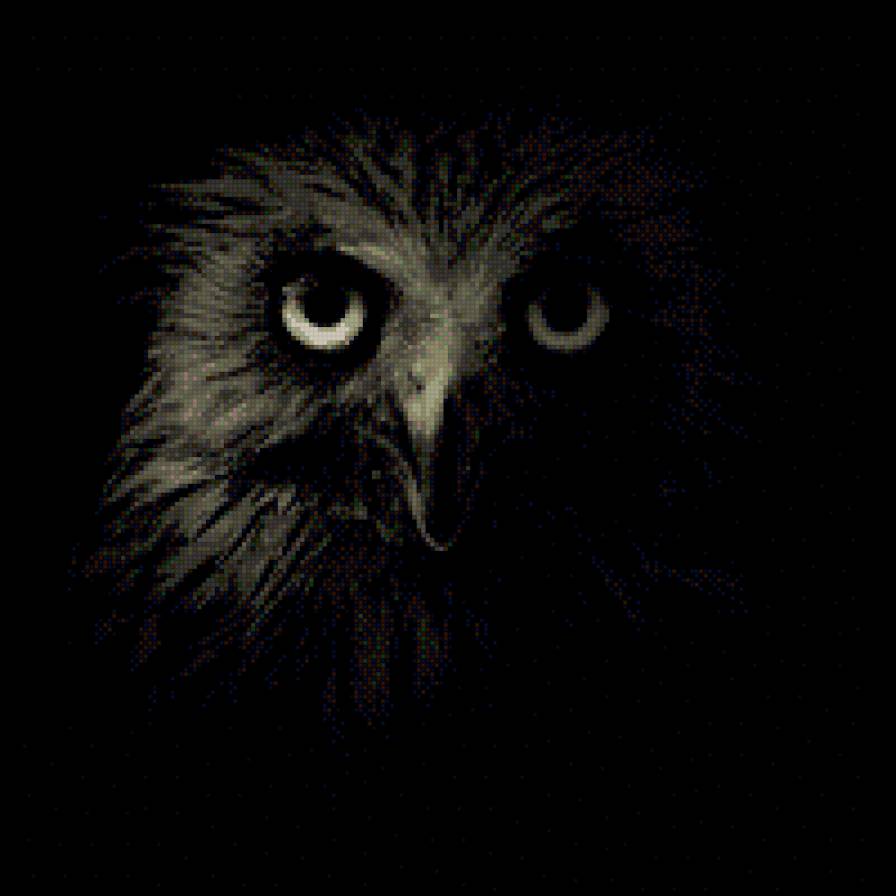 Сова в ночи - предпросмотр