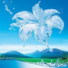 Схема вышивки «Цветок из воды»