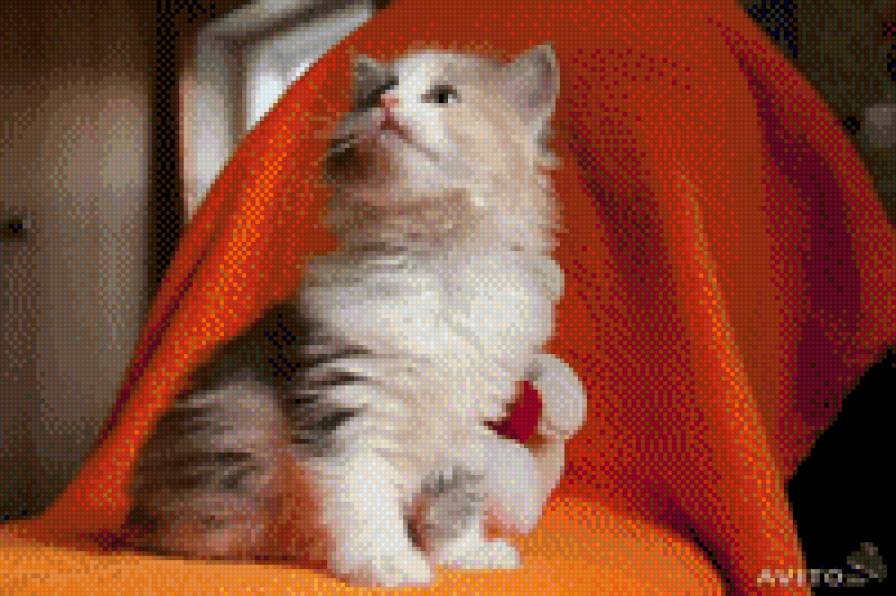 Масяня - масяня, кошки, котенок - предпросмотр