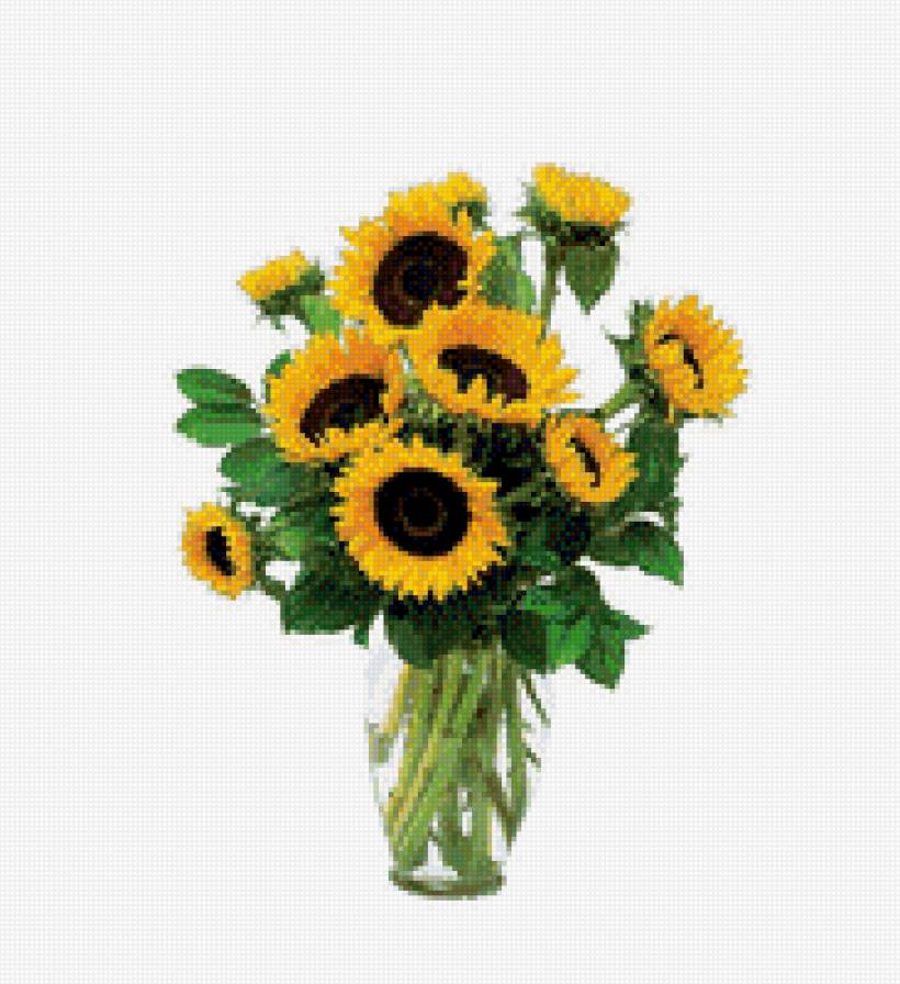 подсолнухи в вазе - цветы, цветы в вазе, подсолнух - предпросмотр