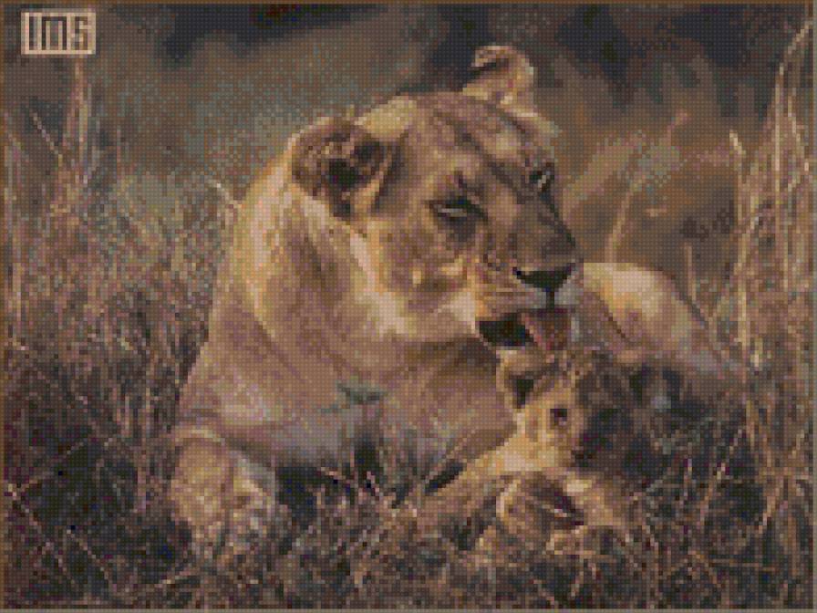 Львица с львенком - львица, большие кошки, лев - предпросмотр