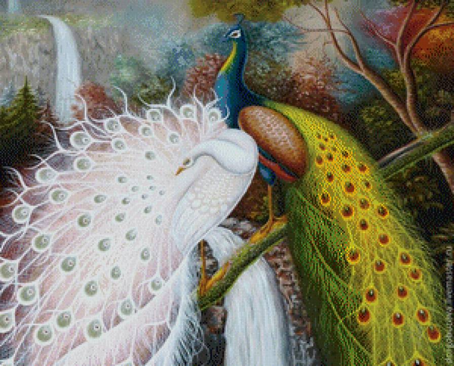 Пара - лес, павлин, сад - предпросмотр