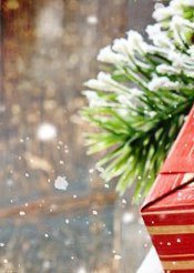 Новогодняя 1 часть - новогодняя 1 часть - оригинал