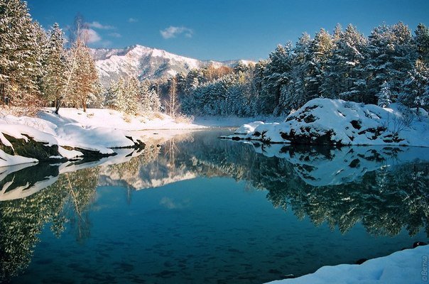 лесное озеро зимой - оригинал