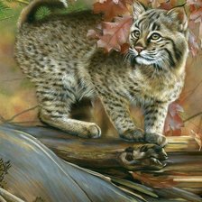 Схема вышивки «№1067537»