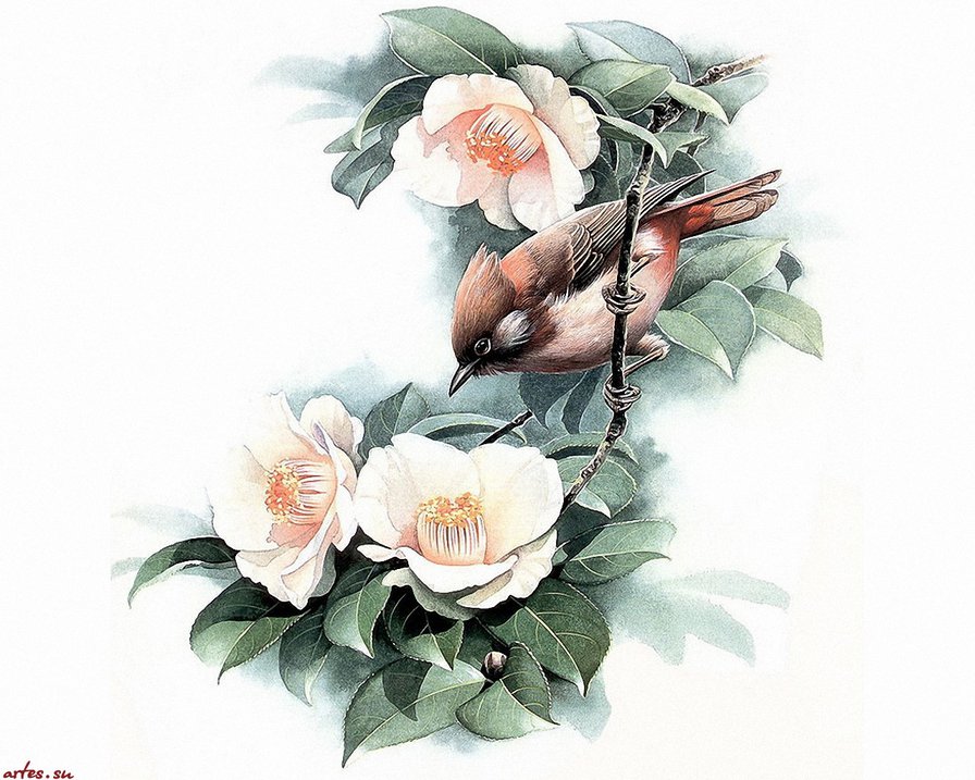 Воробышек - цветы, природа, птицы - оригинал