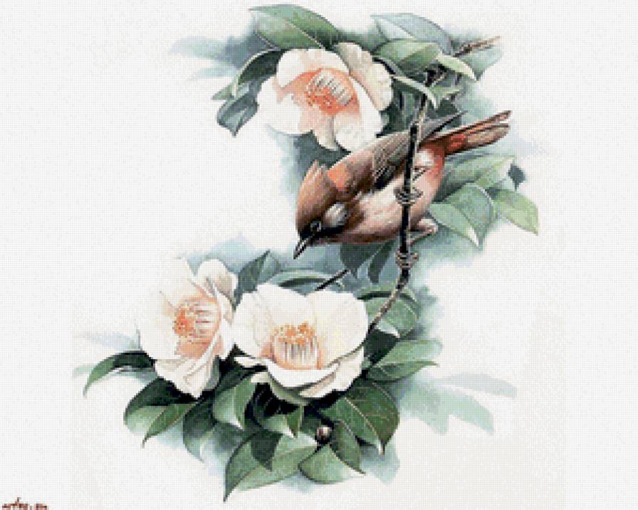 Воробышек - цветы, природа, птицы - предпросмотр