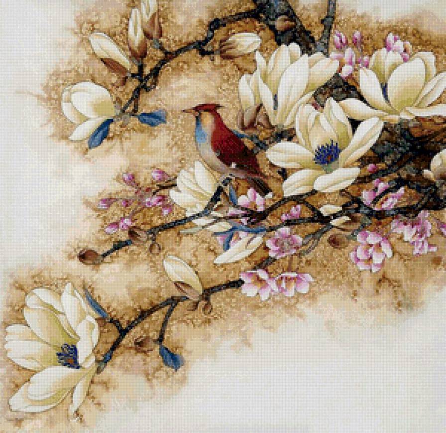 Птица на магнолии - природа, магнолия, птица, цветы - предпросмотр