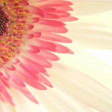 Схема вышивки «1»