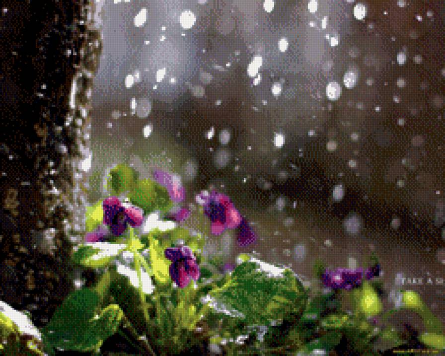 Дождик - предпросмотр