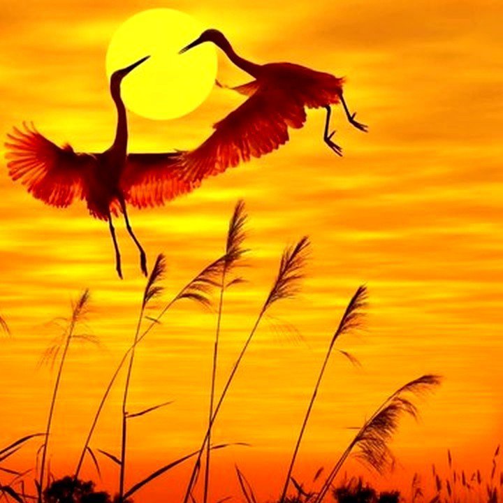 Журавли на закате (правая часть) - птицы, пейзаж, закат - оригинал