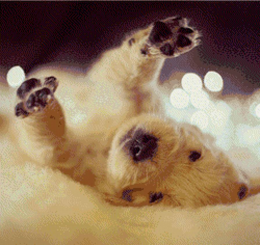 Щенок - предпросмотр