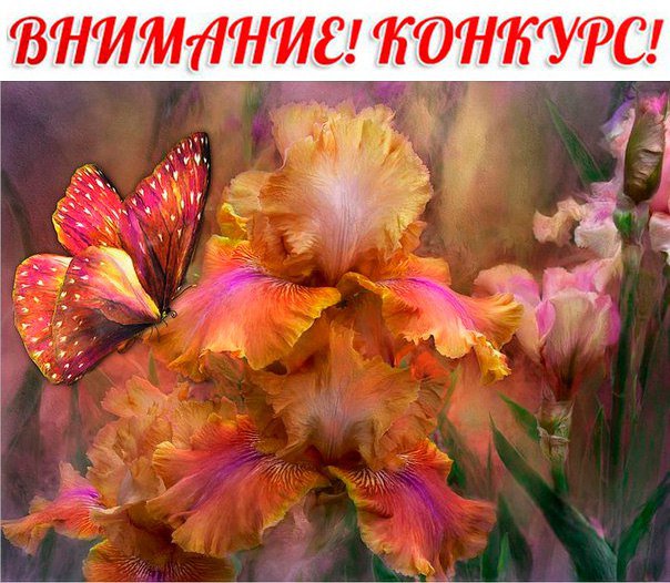 бабочка - оригинал