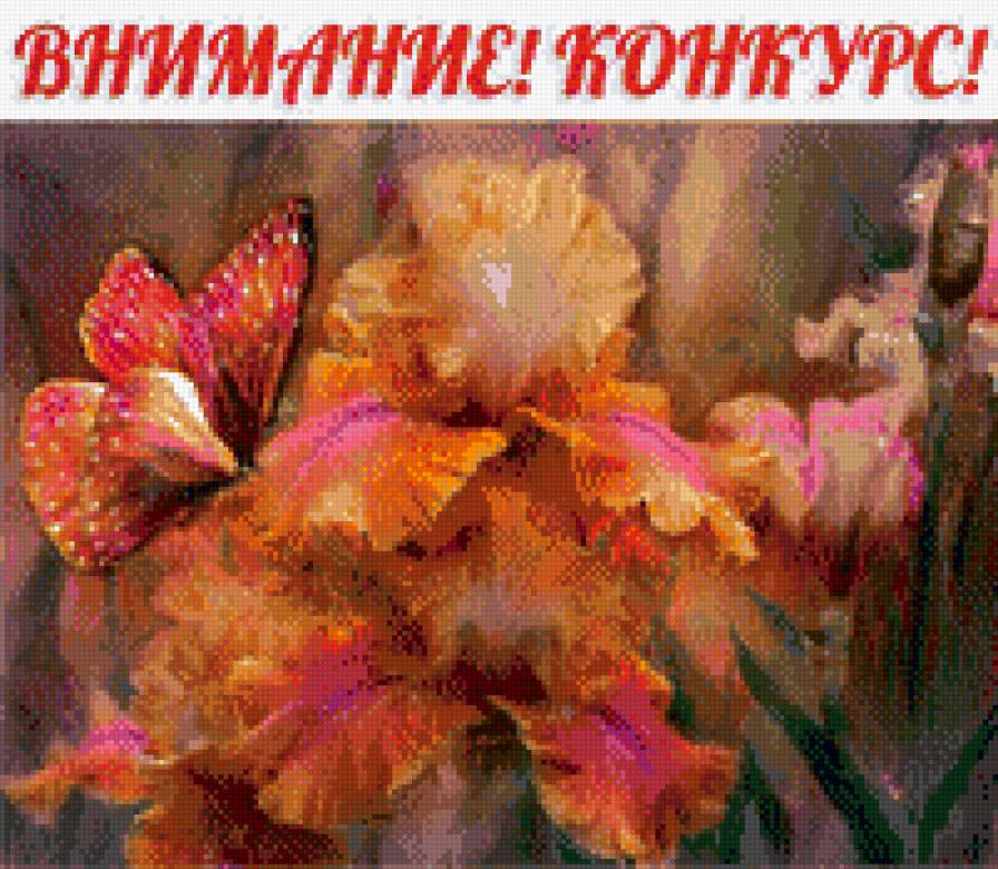 бабочка - предпросмотр