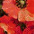 Предпросмотр схемы вышивки «Маки» (№1068739)
