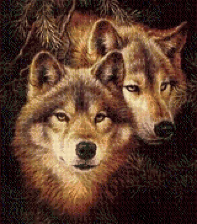 волки,пара - предпросмотр