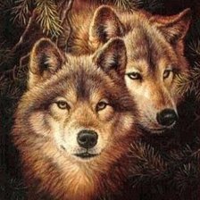 Оригинал схемы вышивки «волки,пара» (№1068770)