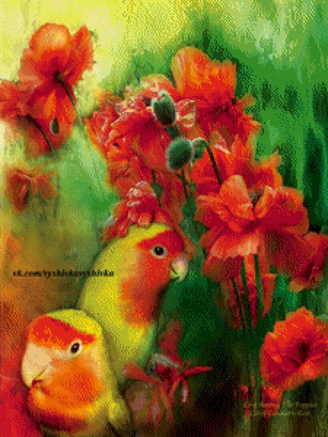 попугаи и маки - попугаи и маки - предпросмотр