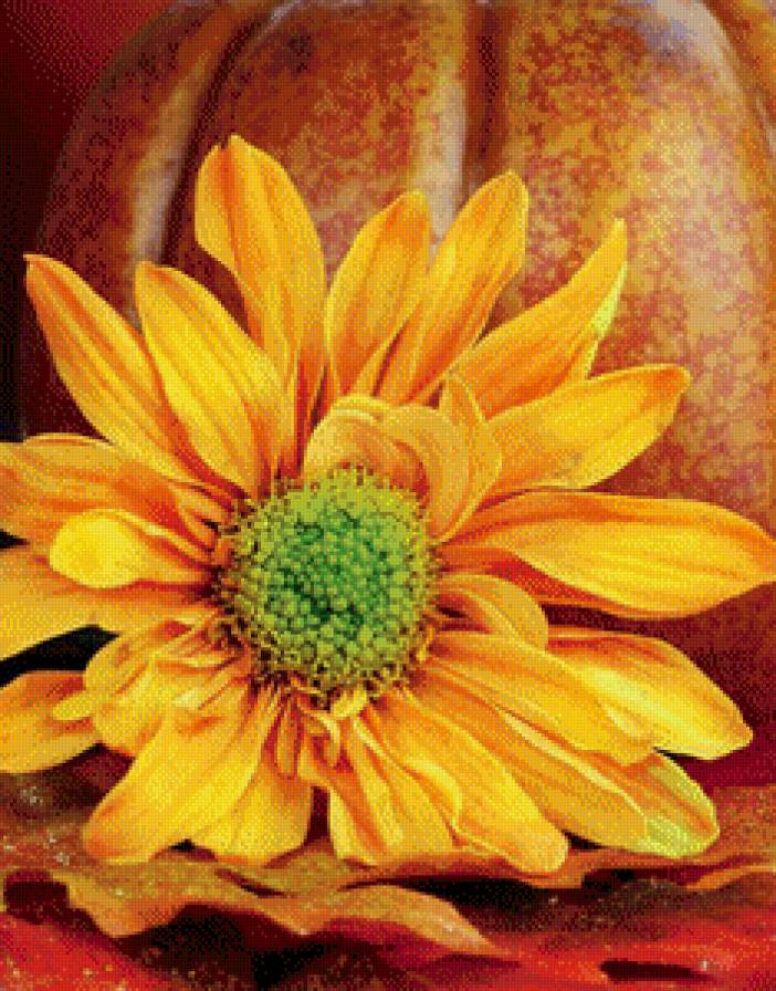 желтый цветок - желтый цветок - предпросмотр