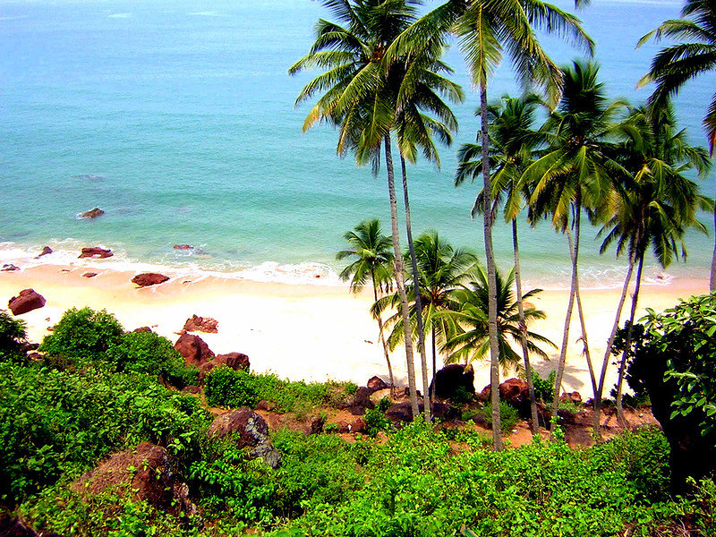 Спокойствие - море, спокойная вода, пляж, пальма - оригинал